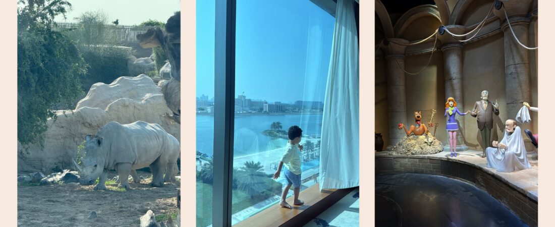 The Ultimate UAE Family Guide: Safaris & Theme Parks