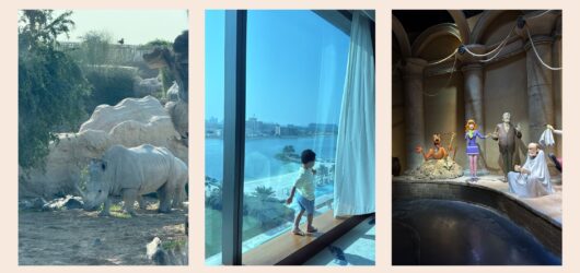 The Ultimate UAE Family Guide: Safaris & Theme Parks